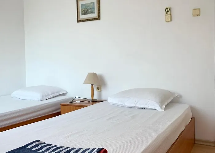 Pensionat тедис хоум *